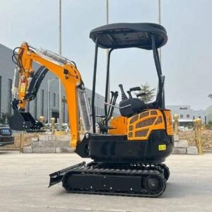 12 (11) Mini Excavator